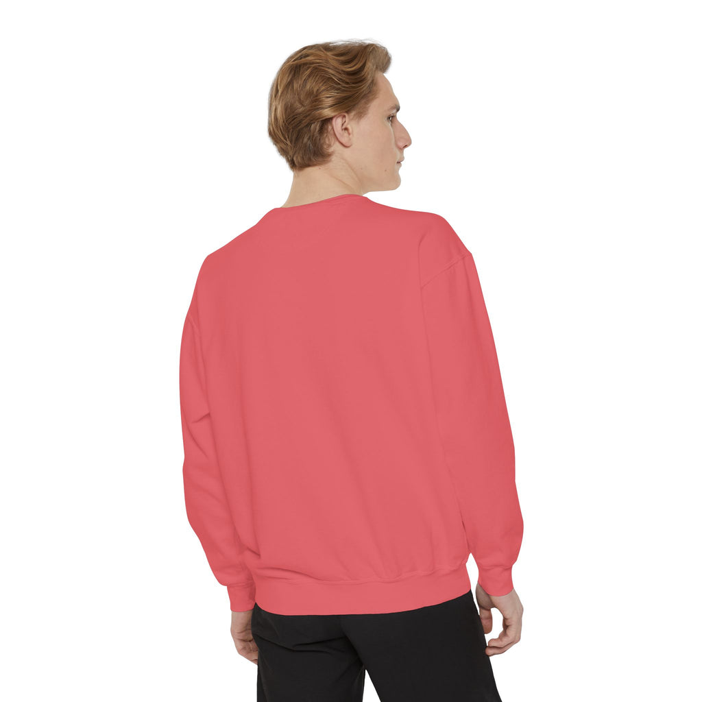 3 - Embroidered RD Sweatshirt – Minimal Vintage College Pullover